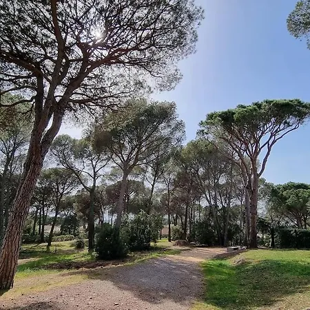 Apartment Chez K&d Studioterra Saint-Raphael (Var)